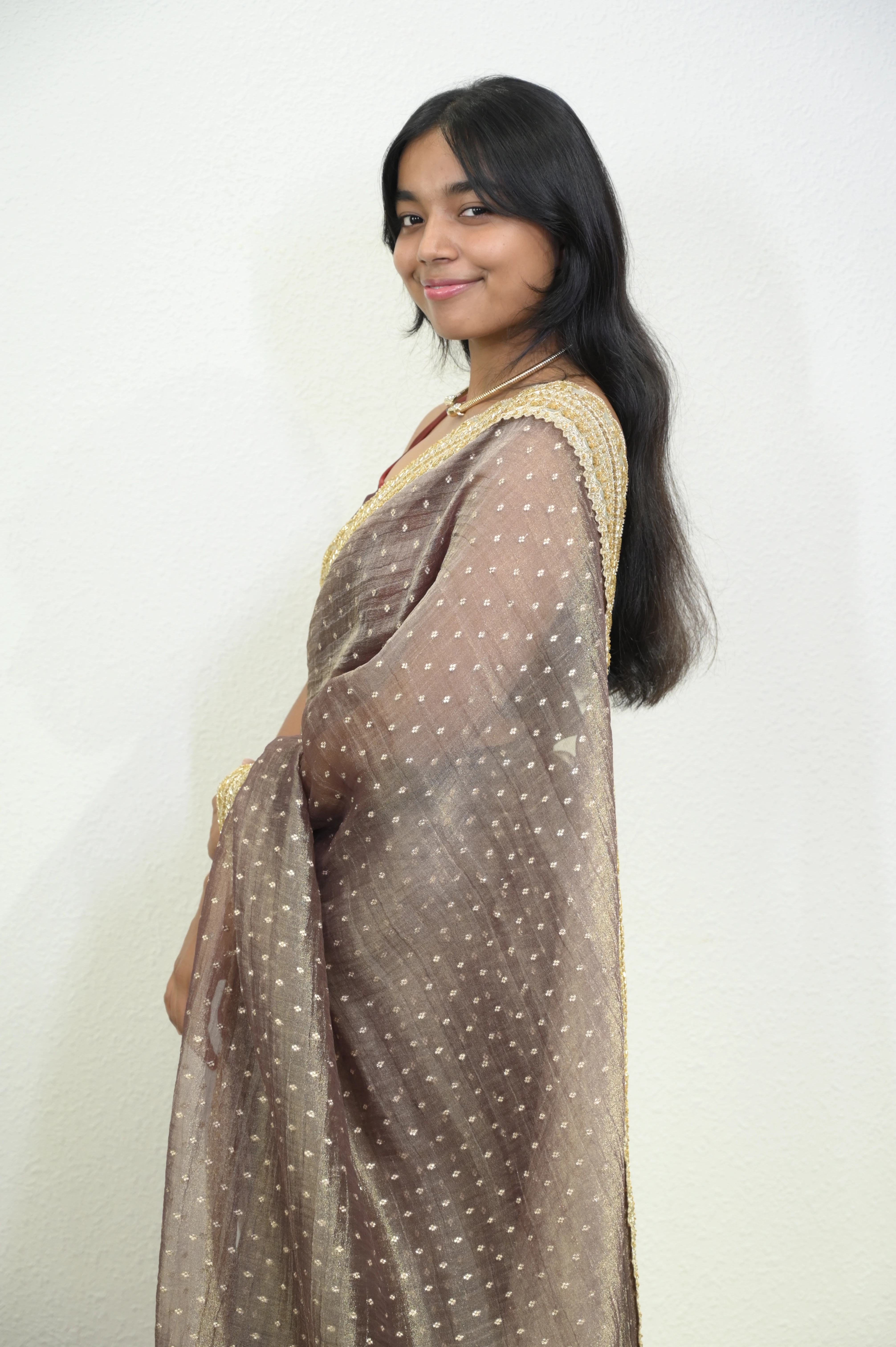 Metallic Brown Organza Saree