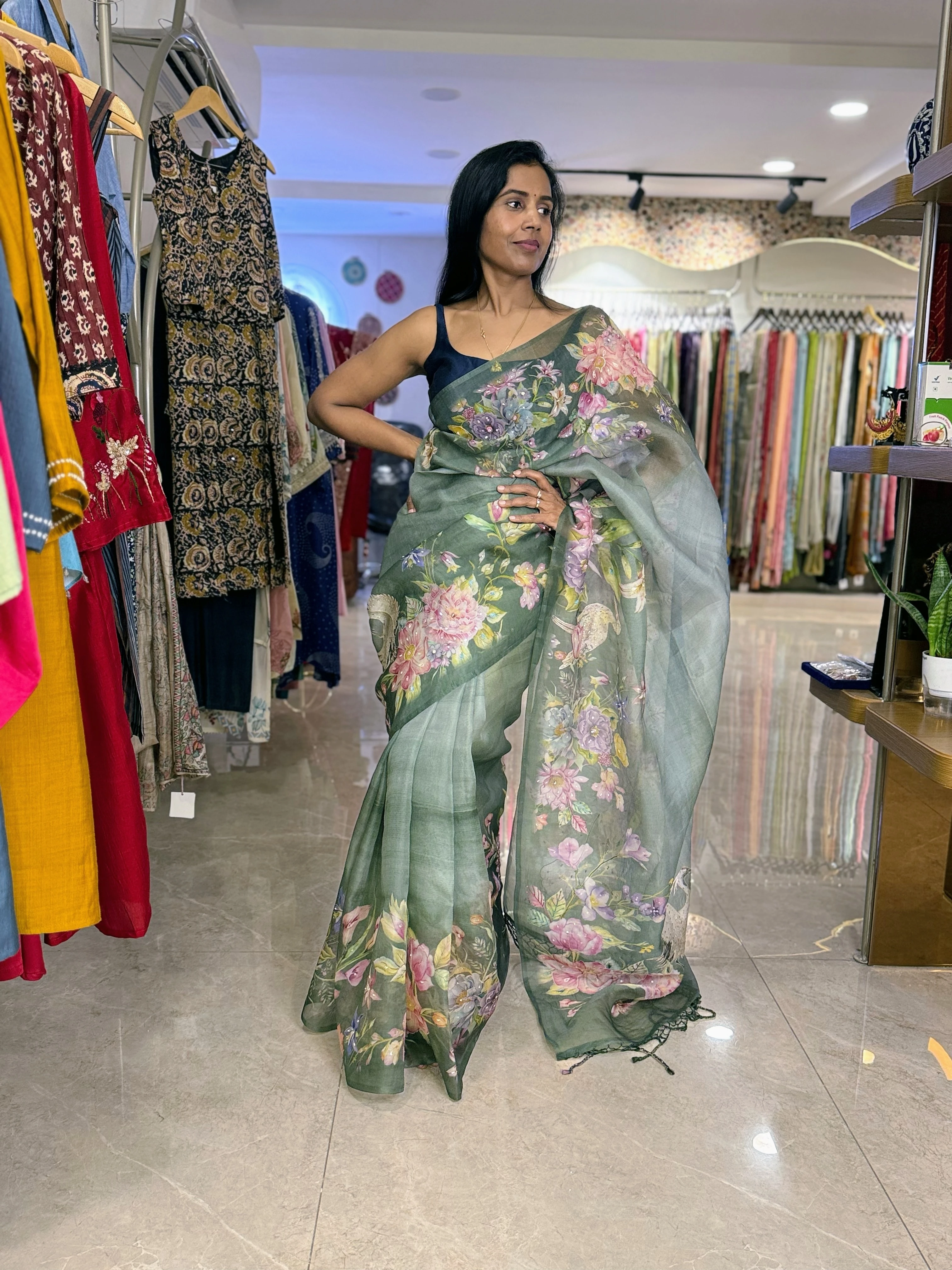 Sage Green Crane Organza Saree